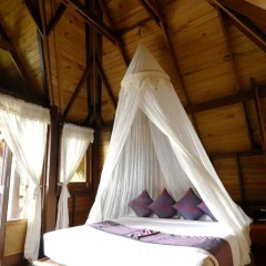Отель Thipwimarn Resort Koh Tao 3* Студия с различными типами кроватей фото 8