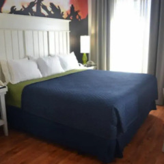 Hotel Indigo Atlanta Midtown 3* Стандартный номер с различными типами кроватей фото 2