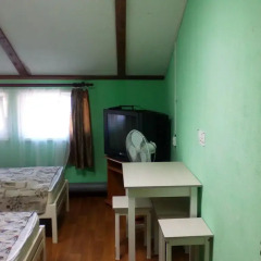 Гостиница Guest house Lenina 3 удобства в номере фото 2