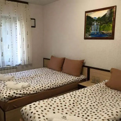 Family Hotel Ginger комната для гостей фото 4