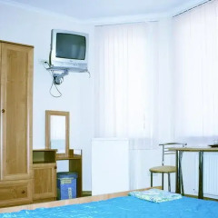Гостиница Odissey Guest House удобства в номере фото 2
