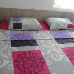 Отель Apartmani Jankovic Черногория, Будва - отзывы, цены и фото номеров - забронировать отель Apartmani Jankovic онлайн комната для гостей фото 2