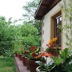 Отель Fattoria Tabarrino Ареццо балкон