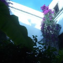 Отель Riad Jenaï Demeures du Maroc Марокко, Марракеш - отзывы, цены и фото номеров - забронировать отель Riad Jenaï Demeures du Maroc онлайн фото 4
