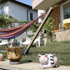 Отель Popov Guest House Болгария, Балчик - отзывы, цены и фото номеров - забронировать отель Popov Guest House онлайн детские мероприятия