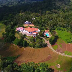 Отель OwinRich Resort Шри-Ланка, Бандаравела - отзывы, цены и фото номеров - забронировать отель OwinRich Resort онлайн приотельная территория фото 2