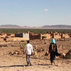 Отель Riad Dar Zaouia Марокко, Загора - отзывы, цены и фото номеров - забронировать отель Riad Dar Zaouia онлайн приотельная территория