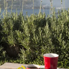 Witt Istanbul Hotel пляж фото 2