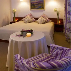 Гостиница Troyanda Karpat 3* Стандартный номер разные типы кроватей фото 14