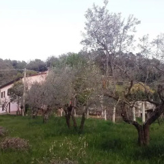 Отель Granny's House Сполето