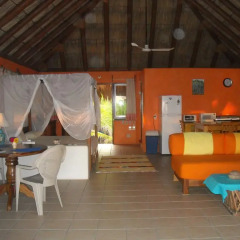Отель Bungalows Tree Tops Мексика, Коакоюл - отзывы, цены и фото номеров - забронировать отель Bungalows Tree Tops онлайн бассейн