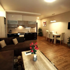 Отель Apartmán Livingstone Roudna Пльзень комната для гостей фото 3