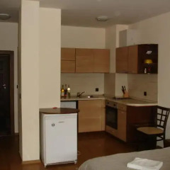 Апартаменты Sofia Rental Apartments Банско в номере фото 2
