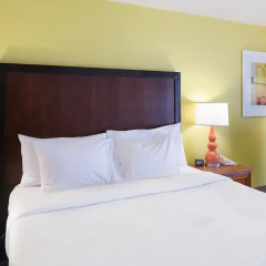 Отель Hilton Garden Inn Orange Beach 3* Стандартный номер с различными типами кроватей