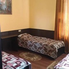 Мини-отель ТарЛеон 2* Номер Комфорт с разными типами кроватей фото 20