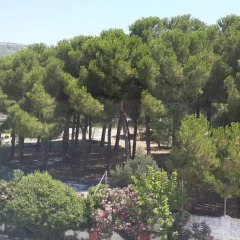 Etap Altinel Canakkale Турция, Гузеляли - отзывы, цены и фото номеров - забронировать отель Etap Altinel Canakkale онлайн фото 3