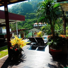 Апартаменты Kata Beach Studio Улучшенная студия с разными типами кроватей фото 7