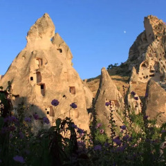 Elif Stone House Турция, Ургуп - 1 отзыв об отеле, цены и фото номеров - забронировать отель Elif Stone House онлайн фото 3