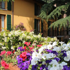 Hotel Centrale Bellagio 3* Стандартный номер фото 11