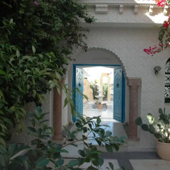 Отель Djerba Saray Тунис, Мидун - отзывы, цены и фото номеров - забронировать отель Djerba Saray онлайн развлечения