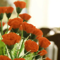 Blue Moon Hotel в номере фото 2