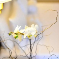 Pestana Buenos Aires Hotel 4* Апартаменты Премиум с различными типами кроватей фото 8