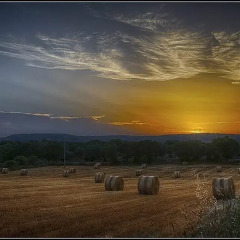 Отель Masseria Pilano Италия, Криспьяно - отзывы, цены и фото номеров - забронировать отель Masseria Pilano онлайн пляж фото 2