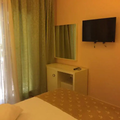 Green Park Hotel удобства в номере