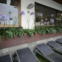 Отель Canyelles Platja Испания, Курорт Росес - отзывы, цены и фото номеров - забронировать отель Canyelles Platja онлайн интерьер отеля фото 3