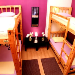Hostel and Apartments Skadarlija Sunrise Стандартный номер с различными типами кроватей фото 7