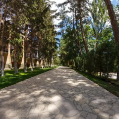 Отель Арзни