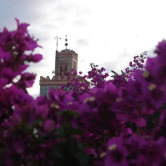 Отель Riad Villa Harmonie Марракеш развлечения