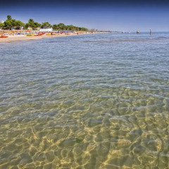 Отель Mare Blu Италия, Пинето - отзывы, цены и фото номеров - забронировать отель Mare Blu онлайн пляж фото 2