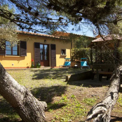 Отель Agriturismo Cerroni Montescudaio Монтескудаио фото 7
