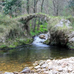 Отель Pensión San Jorge