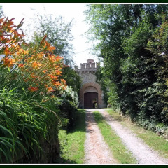 Отель Castello Di Strambinello Италия, Шампорше - отзывы, цены и фото номеров - забронировать отель Castello Di Strambinello онлайн фото 7
