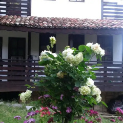 Отель Villa Nasco