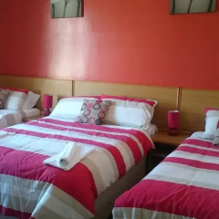 Tulip Hotel 3* Стандартный номер с 2 отдельными кроватями