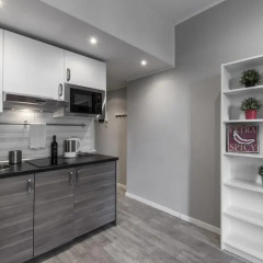 Апартаменты Fiera Milano Apartments Cenisio Студия Делюкс с различными типами кроватей фото 2