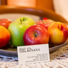 Hotel Villa Boyana в номере