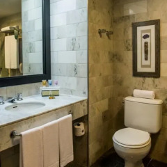 Отель Bourbon Cataratas Convention & Spa Resort 4* Улучшенный номер с различными типами кроватей фото 4