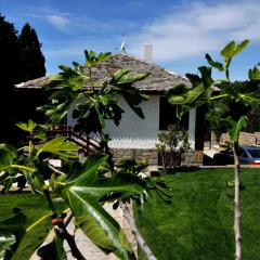 Отель Villa Estate бассейн