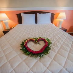 Grand Plaza Hotel в номере фото 2