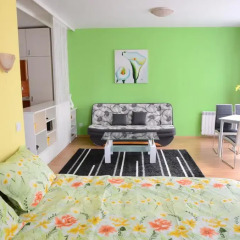 Апартаменты TES Flora Apartments Студия фото 22