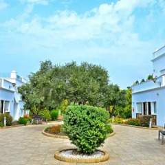 Отель Apartamentos Piedramar фото 6