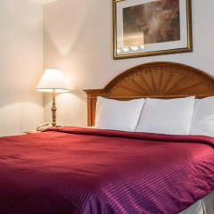 Отель Clarion Inn & Suites Clearwater 3* Стандартный номер с различными типами кроватей
