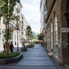 Отель Apatments Vuka Karadzica Сербия, Белград - отзывы, цены и фото номеров - забронировать отель Apatments Vuka Karadzica онлайн фото 3