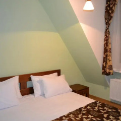 Zolota Forel Hotel комната для гостей фото 2