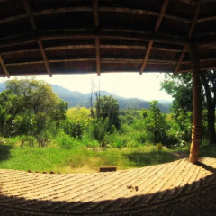 Отель Pepper Hills Cottages Номер Делюкс с различными типами кроватей