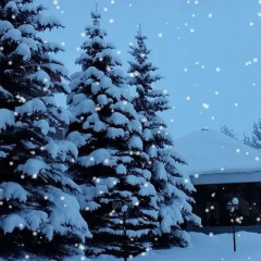 Отель Ani Resort Армения, Анкаван - отзывы, цены и фото номеров - забронировать отель Ani Resort онлайн помещение для мероприятий